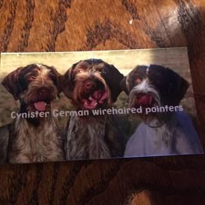 Meet your Posher, Cathie